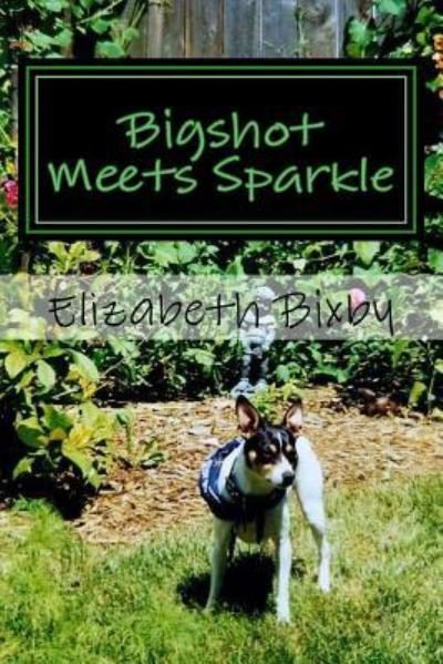 Cover for Elizabeth a Bixby · Bigshot Meets Sparkle (Paperback Book) (2012)