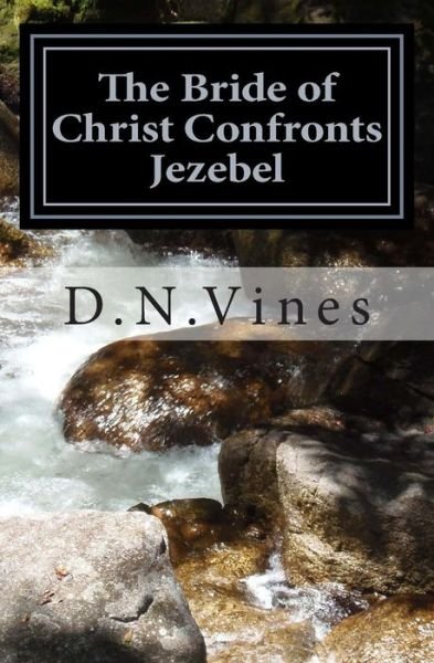 Cover for D N Vines · The Bride of Christ Confronts Jezebel: Riding the Wave of the Holy Spirit and Defeating Jezebel (Paperback Bog) (2014)