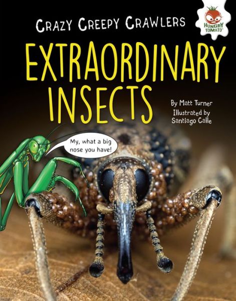 Cover for Matt Turner · Extraordinary Insects (Book) (2017)