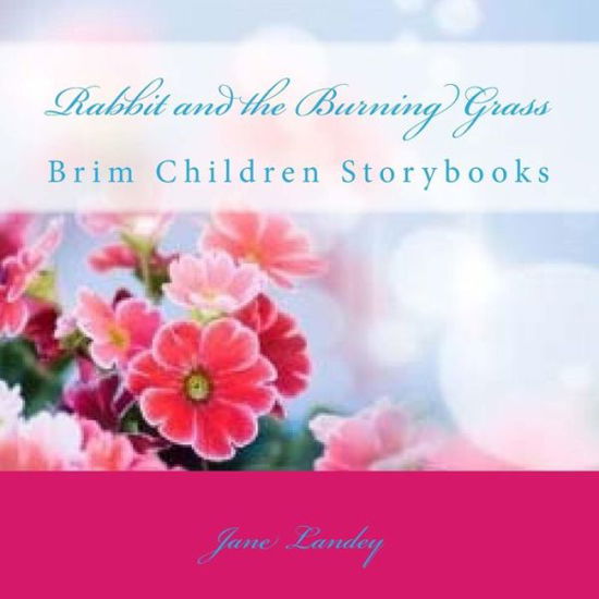 Cover for Jane Landey · Rabbit and the Burning Grass: Brim Children Storybooks (Paperback Book) (2015)