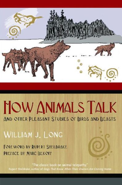 Cover for William J. Long · How Animals Talk: And Other Pleasant Studies of Birds and Beasts (Paperback Book) [New Edition of the Classic edition] (2005)