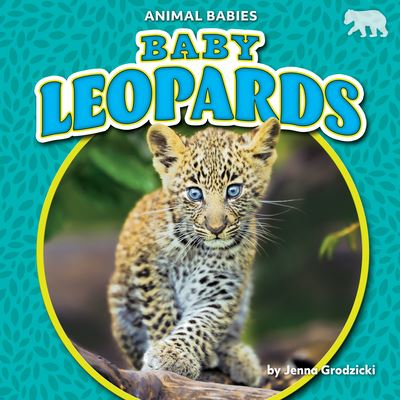 Cover for Jenna Grodzicki · Baby Leopards (Book) (2022)