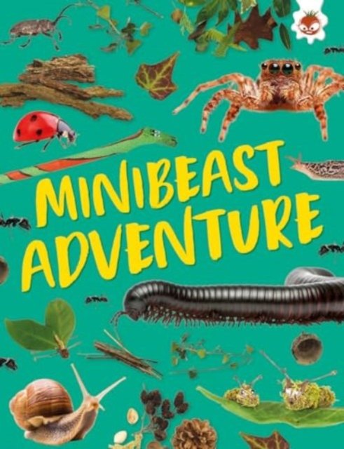 Cover for Emily Kington · Minibeast Adventure: Unplug and get ready for some amazing outdoor adventures - Outdoor Adventure Guides (Paperback Book) (2024)