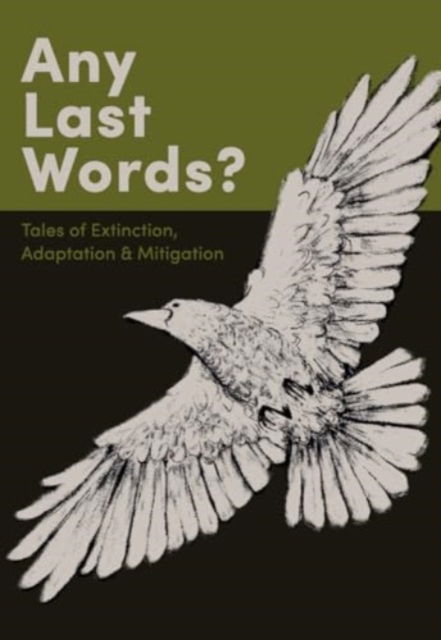 Cover for Any Last Words?: Issue #3 (Paperback Book) (2024)