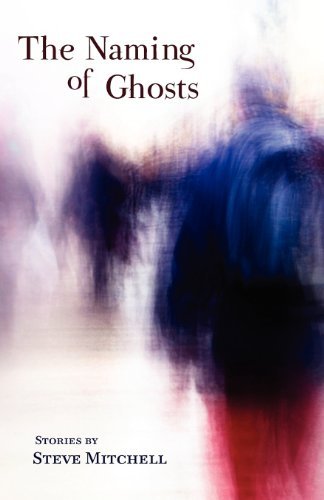 Cover for Steve Mitchell · The Naming of Ghosts (Pocketbok) (2012)