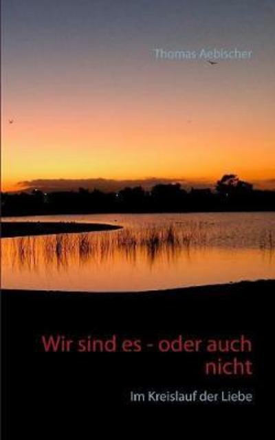 Cover for Aebischer · Wir sind es - oder auch nicht (Buch) (2017)
