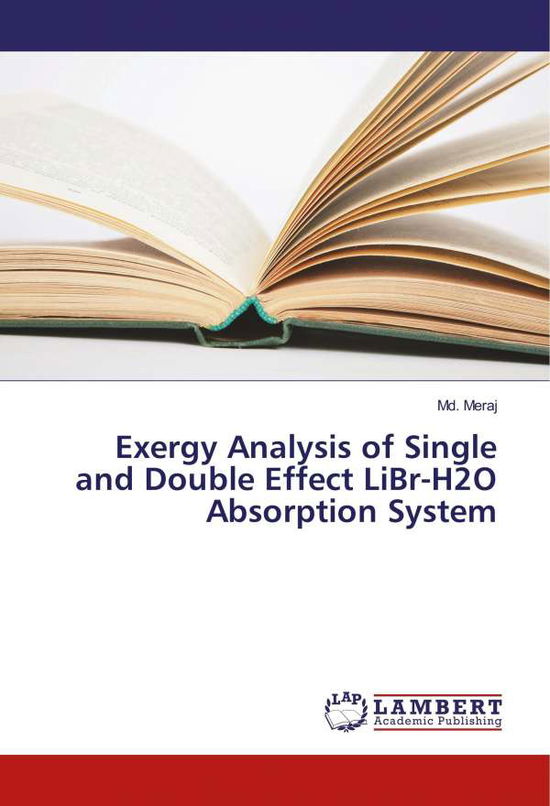 Cover for Meraj · Exergy Analysis of Single and Dou (Book)