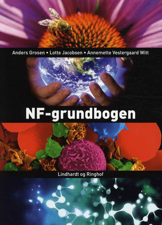 Cover for Lotte Jacobsen, Annemette Vestergaard Witt, Anders Groesen · NF-grundbogen (Sewn Spine Book) [1. wydanie] (2013)