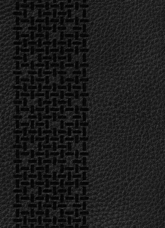 Cover for Bibelen på Hverdagsdansk, ægte læder, sort (Leather Book) (2015)