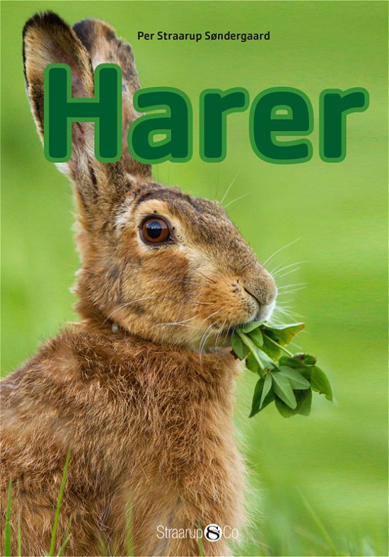 Cover for Per Straarup Søndergaard · Mini: Harer (Hardcover bog) [1. udgave] (2017)