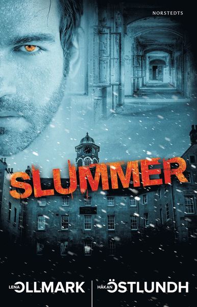 Cover for Håkan Östlundh · Slummer (Book) (2020)