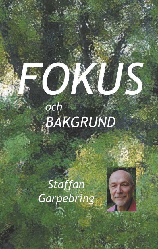 Cover for Staffan Garpebring · Fokus och bakgrund : om upplevelser inombords och upplevelser av omvärlden (Hardcover Book) (2016)