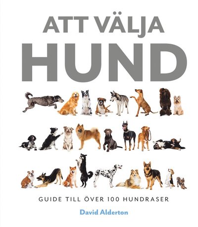 Cover for David Alderton · Att välja hund : guide till över 100 hundraser (Bound Book) (2021)