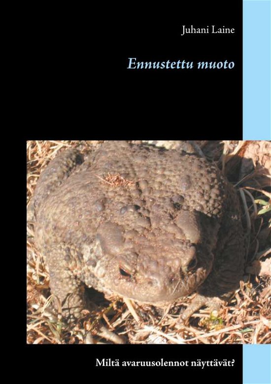 Cover for Laine · Ennustettu muoto (Book)