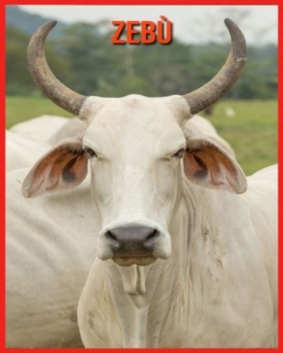 Cover for Linda Davis · Zebu: Fatti di apprendimento divertenti sui Zebu (Paperback Book) (2021)