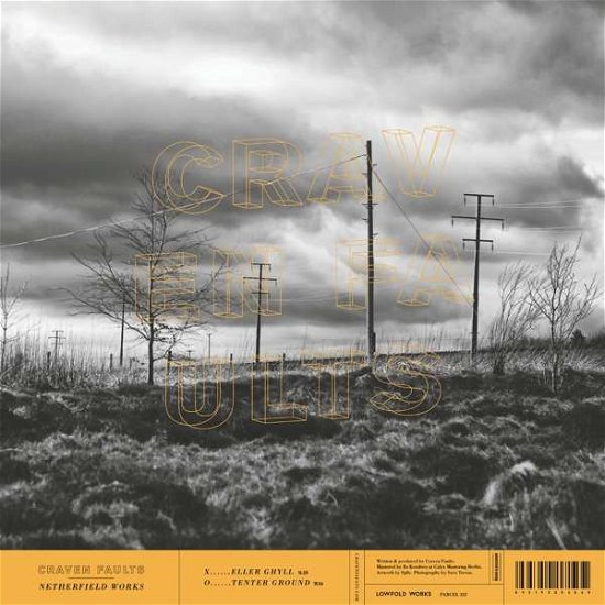 Cover for Craven Faults · Netherfield Works (LP) [Coloured edition] (2018)