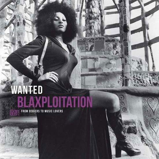 Cover for Wanted Blaxploitation (LP) (2021)