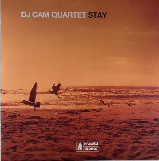 Cover for DJ Cam Quartet · Stay (LP) (2009)