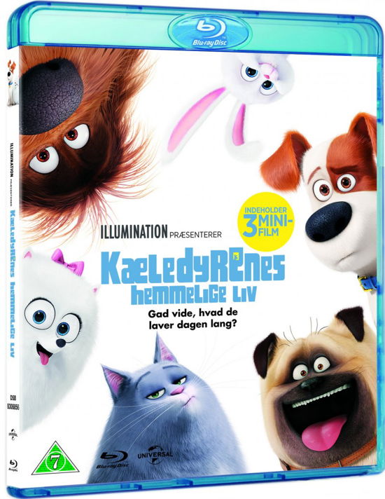 Cover for Kæledyrenes Hemmelige Liv · The Secret Life of Pets (Blu-ray) (2016)