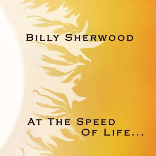 Cover for Billy Sherwood · At The Speed Of Life (CD) (2017)