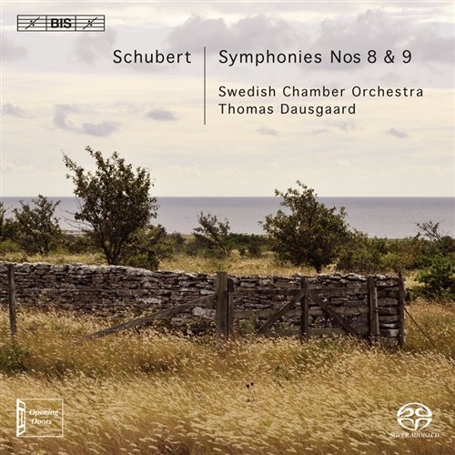 Symphonies No.8 & 9 - Franz Schubert - Music - BIS - 7318599916569 - February 18, 2010