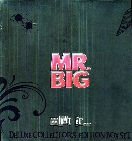 What If... - Mr. Big - Musik -  - 8024391050569 - 