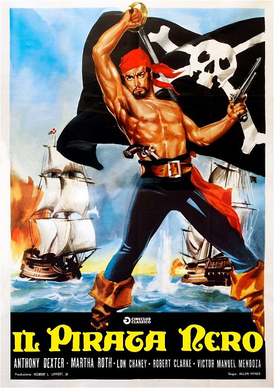 Cover for Pirata Nero (Il) [edizione: Re · Pirata Nero (Il) (DVD) (2019)
