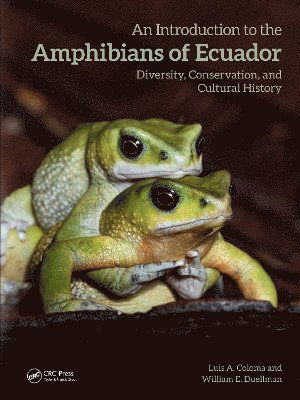 Cover for Luis A. Coloma · An Introduction to the Amphibians of Ecuador: Diversity, Conservation, and Cultural History (Hardcover Book) (2024)