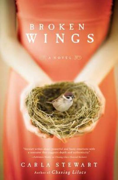 Cover for Carla Stewart · Broken Wings (Paperback Book) (2011)