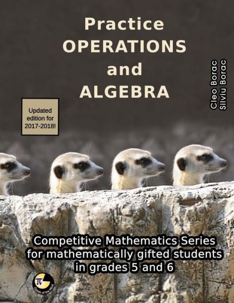 Cover for Cleo Borac · Practice Operations and Algebra : Level 3 (Paperback Book) (2013)