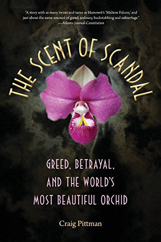 Cover for Craig Pittman · The Scent of Scandal: Greed, Betrayal, and the World's Most Beautiful Orchid - Florida History and Culture (Taschenbuch) (2014)