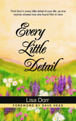 Cover for Lisa Dorr · Every Little Detail: Find God in Every Little Detail of Your Life, As One Woman Shares How She Found Him in Hers (Paperback Book) (2017)