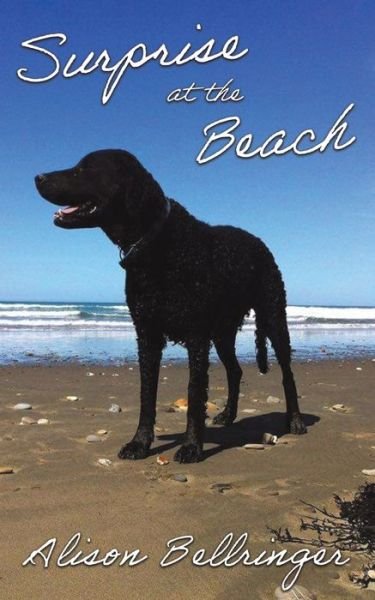 Cover for Alison Bellringer · Surprise at the Beach (Pocketbok) (2022)