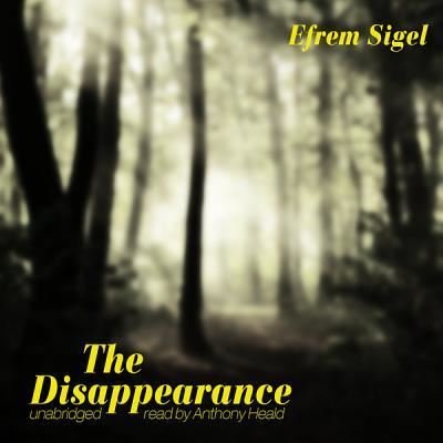 Cover for Efrem Sigel · The Disappearance (CD) (2012)