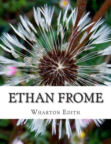 Ethan Frome - Edith Wharton - Bøger - Createspace - 9781500819569 - 13. august 2014