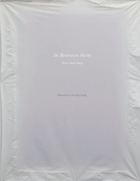 Cover for Kai Hong Ph D · In Between There,: Damhua Paintings by Kim Taeksang (Paperback Book) (2015)