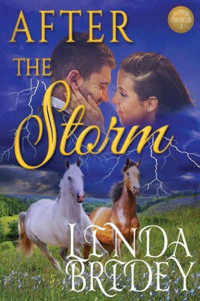 Cover for Linda Bridey · After the Storm (Paperback Bog) (2016)