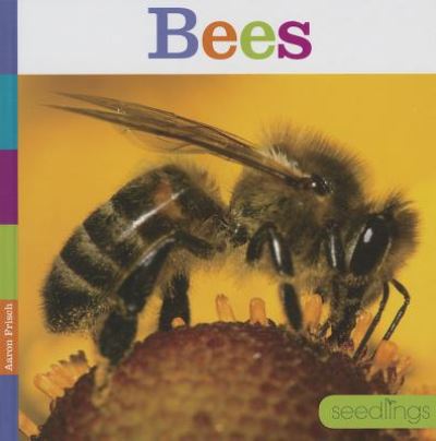 Cover for Aaron Frisch · Bees (Seedlings) (Hardcover Book) (2014)