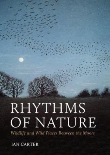 Rhythms of Nature: Wildlife and Wild Places Between the Moors - Ian Carter - Książki - Pelagic Publishing - 9781784273569 - 28 czerwca 2022