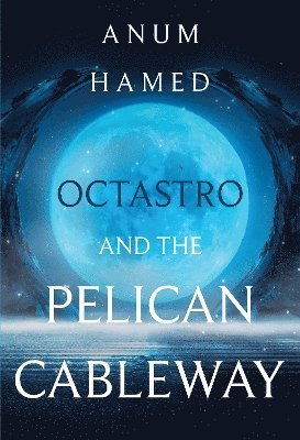 Cover for Anum Hamed · Octastro and the Pelican Cableway (Paperback Book) (2023)