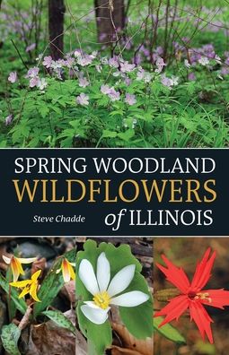 Cover for Steve Chadde · Spring Woodland Wildflowers of Illinois (Paperback Book) (2022)