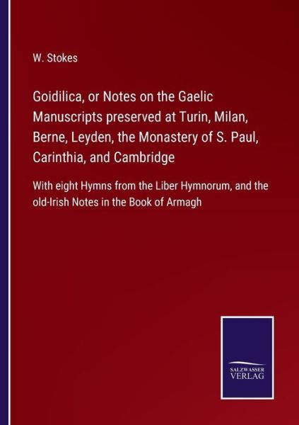 Cover for W. Stokes · Goidilica, or Notes on the Gaelic Manuscripts preserved at Turin, Milan, Berne, Leyden, the Monastery of S. Paul, Carinthia, and Cambridge (Paperback Book) (2022)