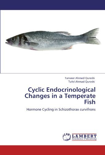 Cover for Tufel Ahmad Qureshi · Cyclic Endocrinological Changes in a Temperate Fish: Hormone Cycling in Schizothorax Curvifrons (Taschenbuch) (2012)