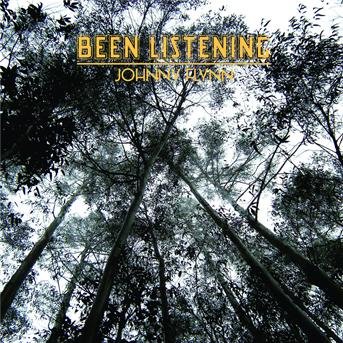 Cover for Johnny Flynn · Been Listening (CD) (2013)