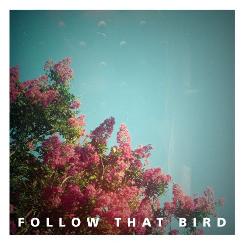 Cover for Follow That Bird · Wooden Bones (CD) (2011)