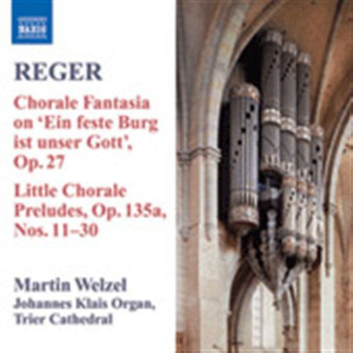 Organ Music Vol.8 - M. Reger - Musik - NAXOS - 0747313045570 - 26. juni 2008