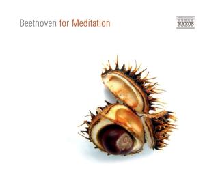 Beethoven For Meditation - Ludwig Van Beethoven - Musik - NAXOS - 0747313090570 - 1. februar 2012