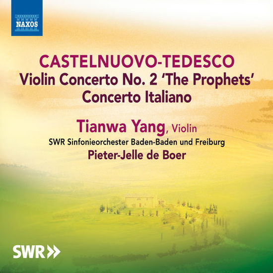 Cover for Tianwa Yangswr Orchde Boer · Ctedescoviolin Concertos 1 2 (CD) (2015)