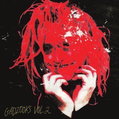 Gadzooks Vol.2 - Caleb Landry Jones - Music - SACRED BONES - 0843563151570 - November 4, 2022