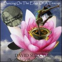Cover for David Surkamp · Dancing on the Edge of A... (CD) (2008)
